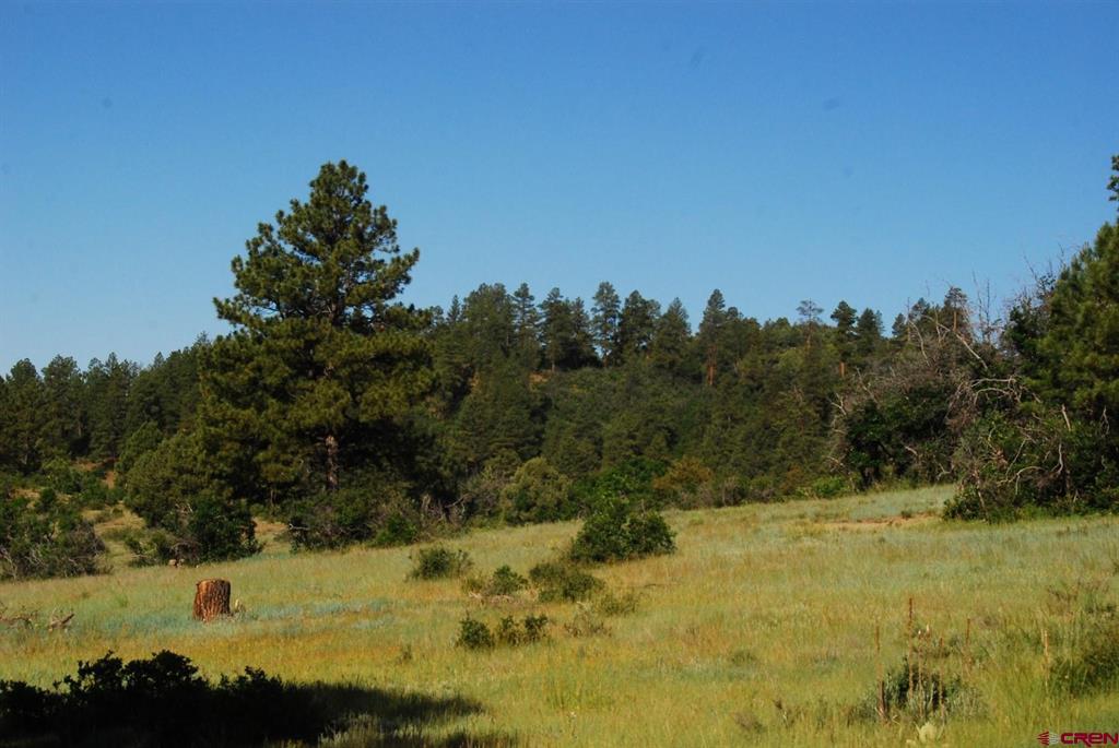 X Us Hwy 84 #116 Property Photo 2