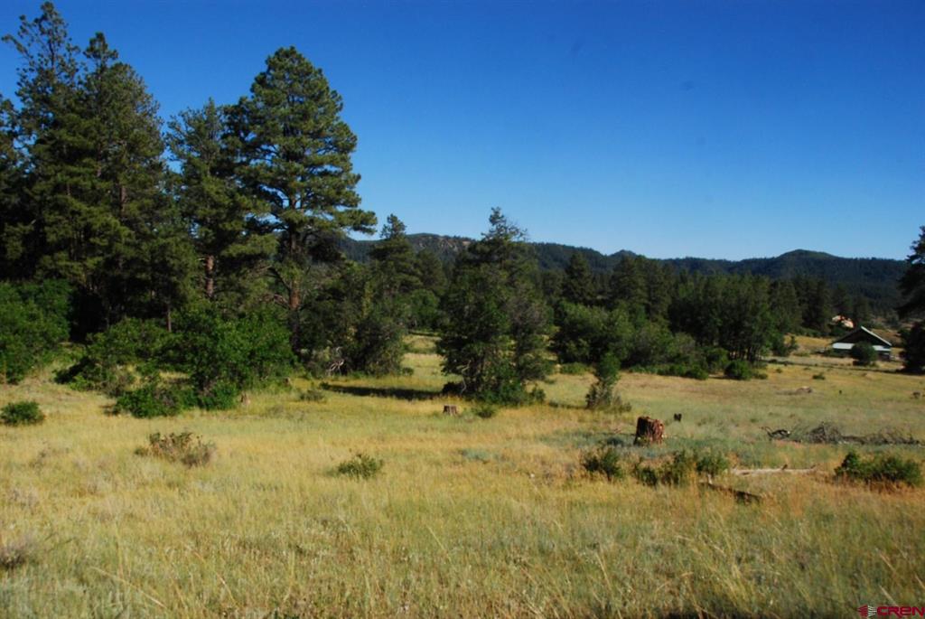 X Us Hwy 84 #116 Property Photo 3