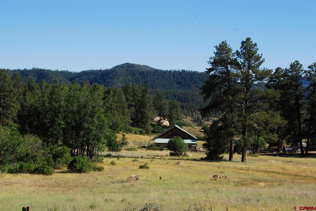 X Us Hwy 84 #116 Property Photo 4