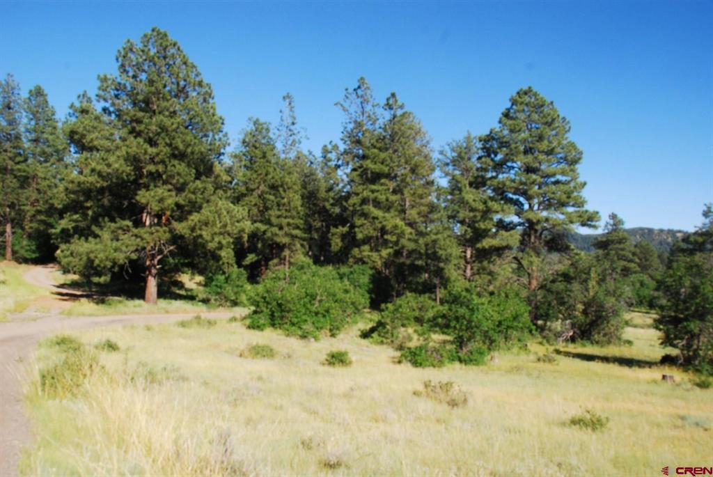 X Us Hwy 84 #116 Property Photo 5