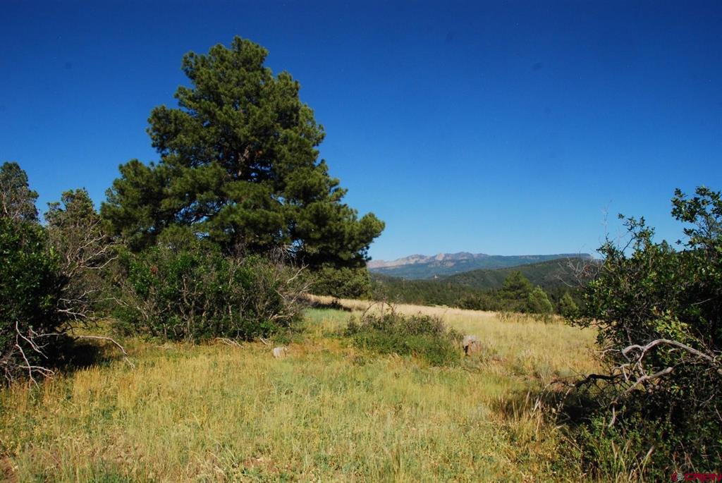 X Us Hwy 84 #114 Property Photo 1