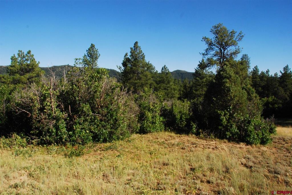 X Us Hwy 84 #114 Property Photo 3