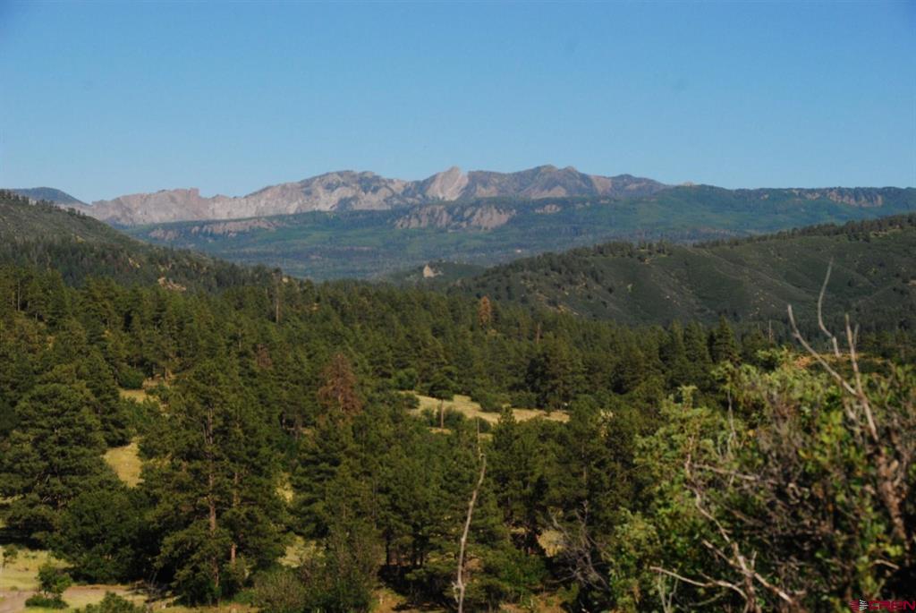 X Us Hwy 84 #114 Property Photo 4