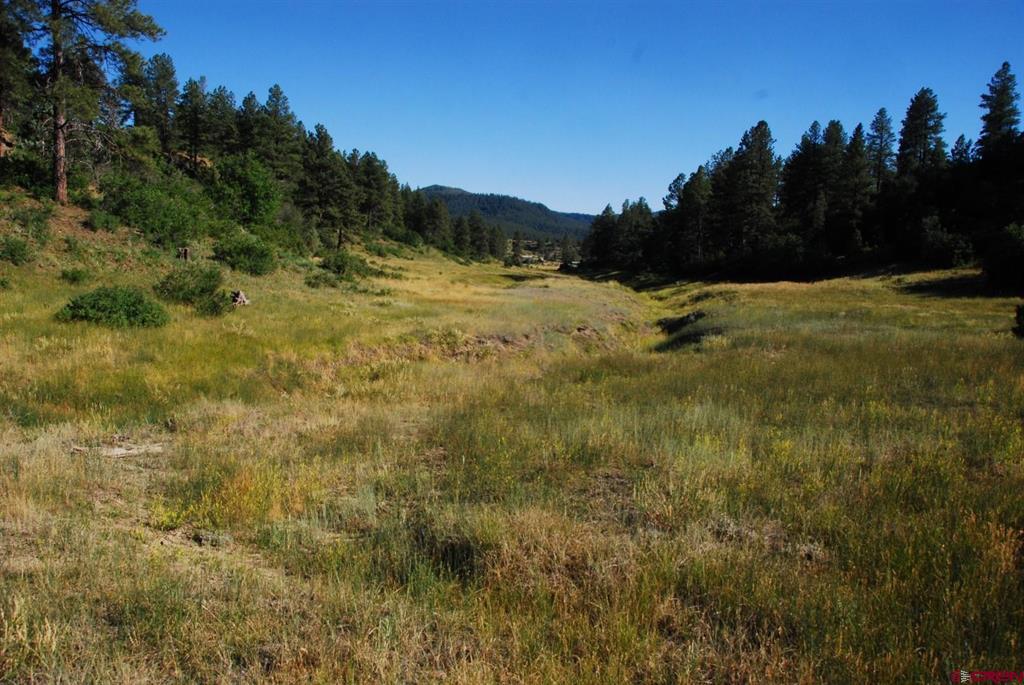 X Us Hwy 84 #114 Property Photo 5