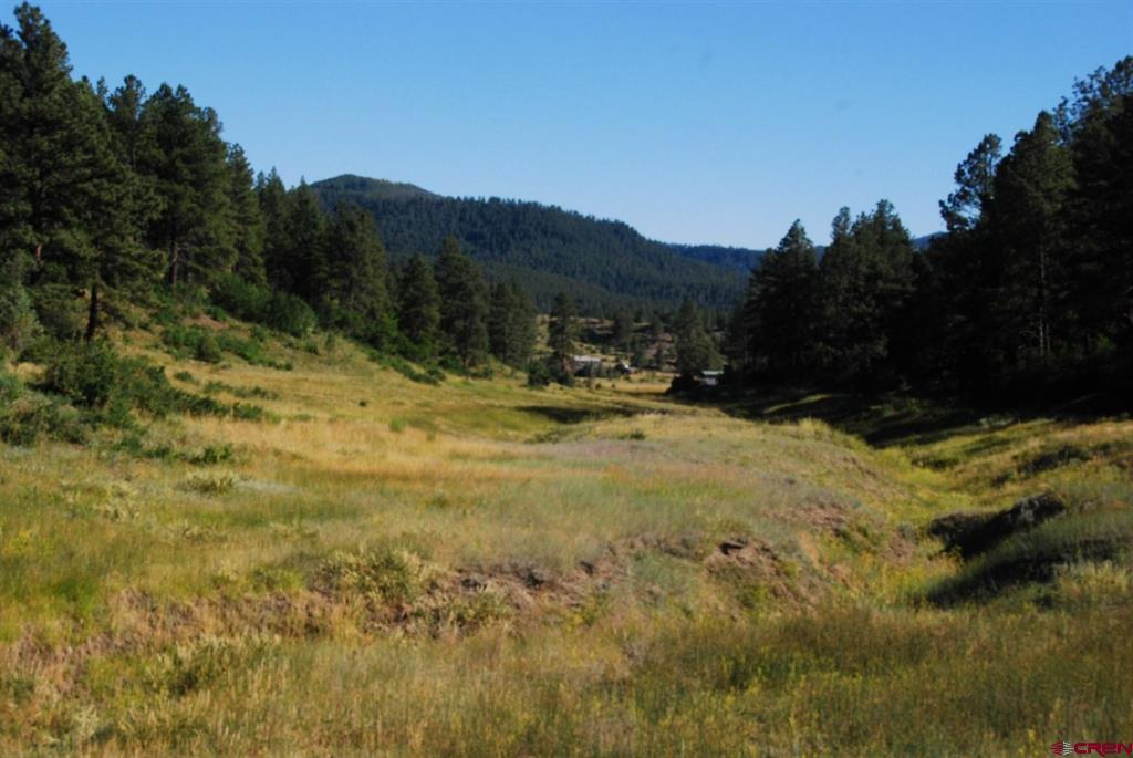 X Us Hwy 84 #114 Property Photo 6
