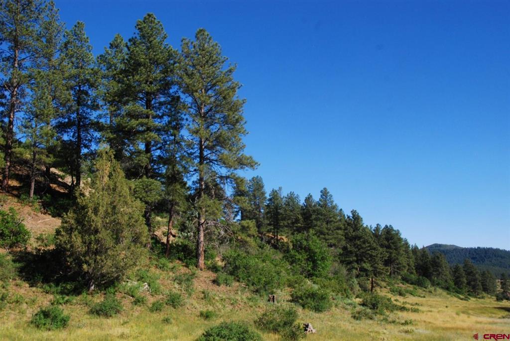 X Us Hwy 84 #114 Property Photo 7
