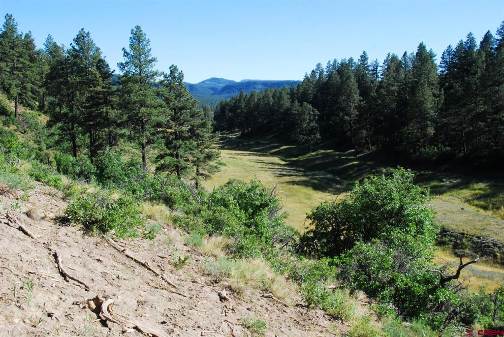 X Us Hwy 84 #114 Property Photo 8