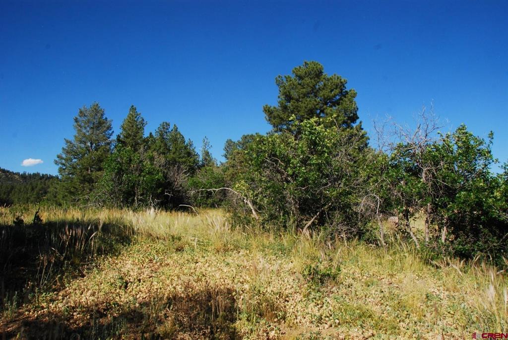 X Us Hwy 84 #114 Property Photo 11