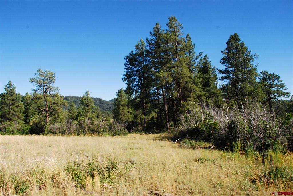 X Us Hwy 84 #114 Property Photo 15