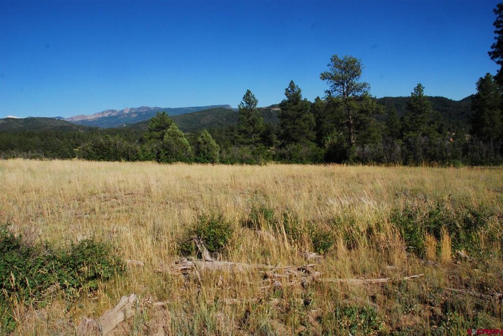 X Us Hwy 84 #114 Property Photo 16