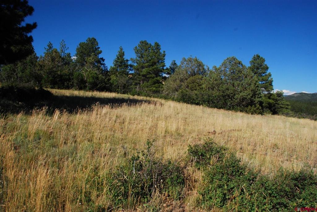 X Us Hwy 84 #114 Property Photo 17