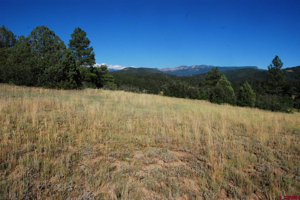 X Us Hwy 84 #114 Property Photo 18