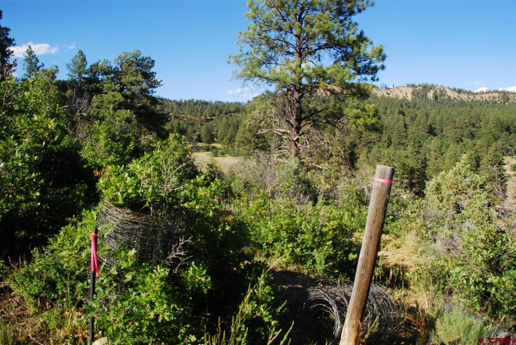 X Us Hwy 84 #114 Property Photo 21