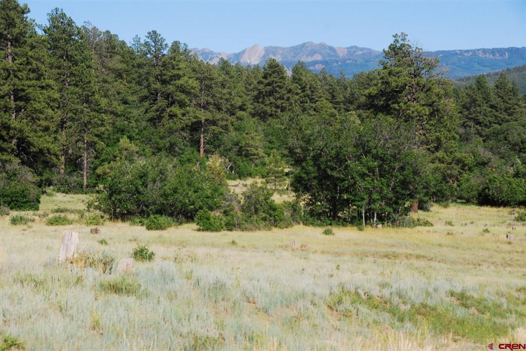 X US Hwy 84 #047 Property Photo 1
