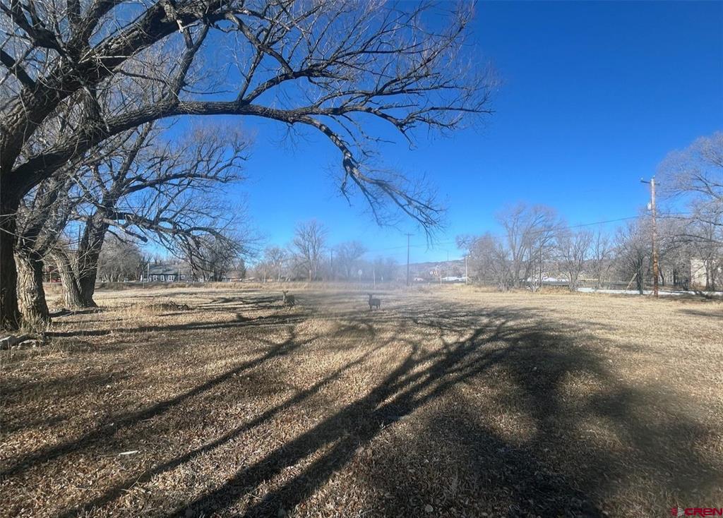 Tbd Hwy 285 Property Photo 4