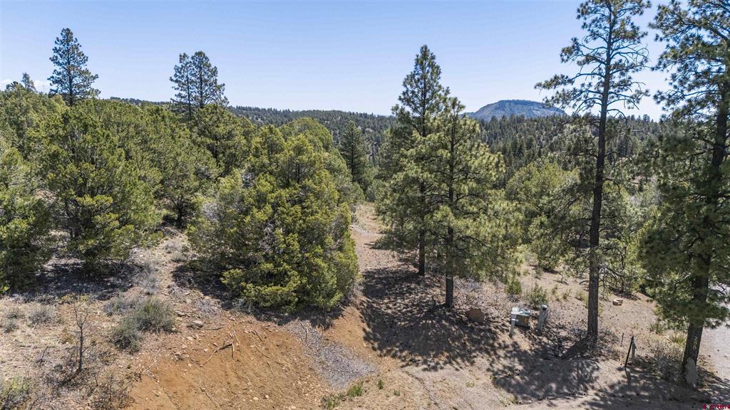 275 Logging Trail Road Property Photo 1