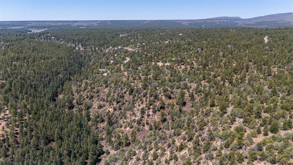 275 Logging Trail Road Property Photo 3
