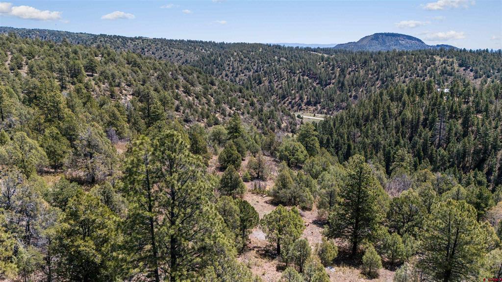 275 Logging Trail Road Property Photo 4