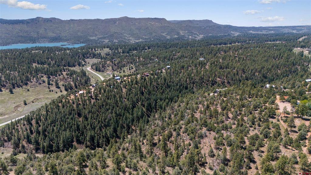 275 Logging Trail Road Property Photo 5
