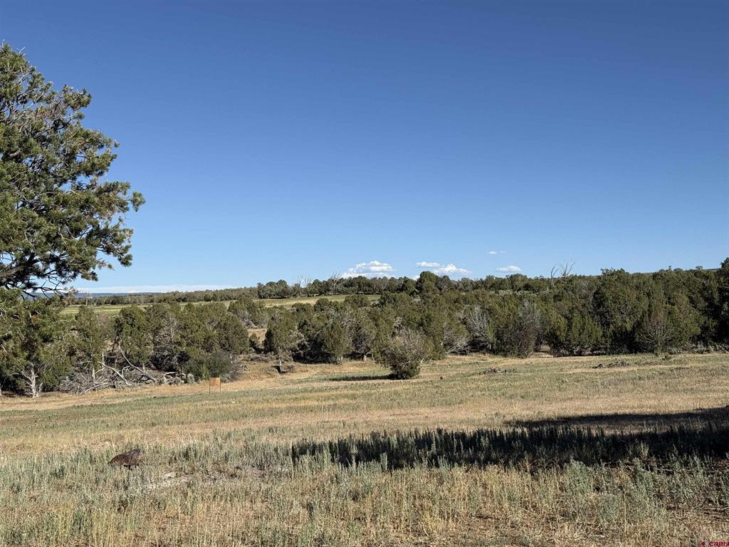 32310 B50 Road Property Photo 44