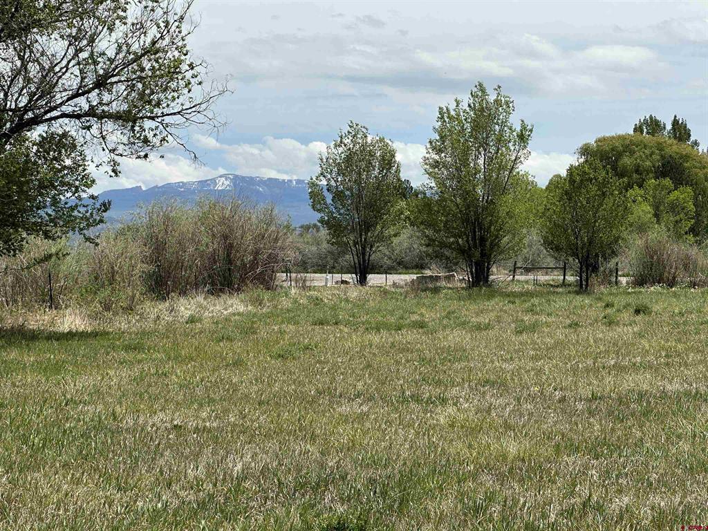 16674 6300 Road Property Photo 3
