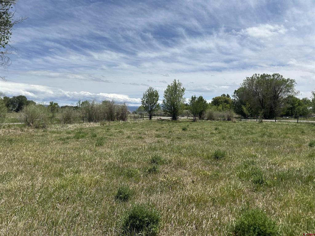 16674 6300 Road Property Photo 5