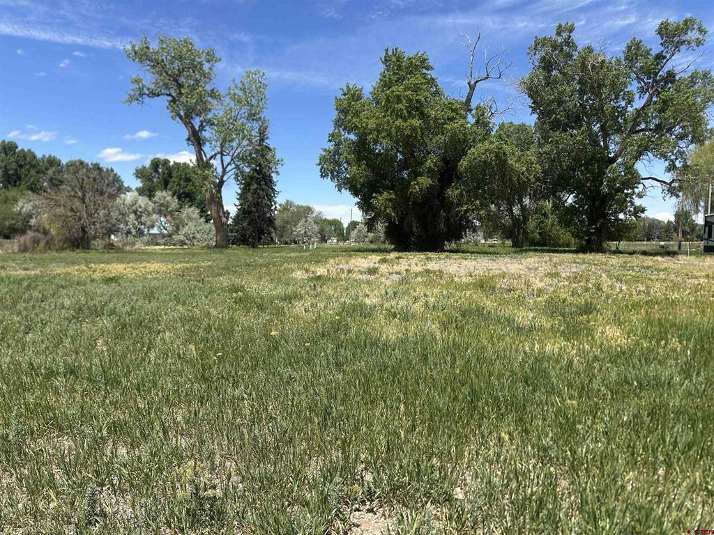 16674 6300 Road Property Photo 18