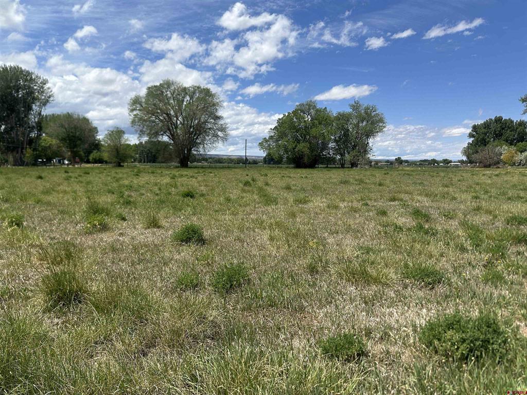 16674 6300 Road Property Photo 21