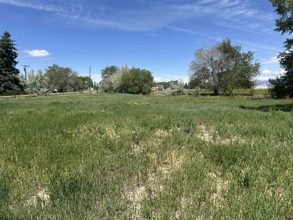 16674 6300 Road Property Photo 25