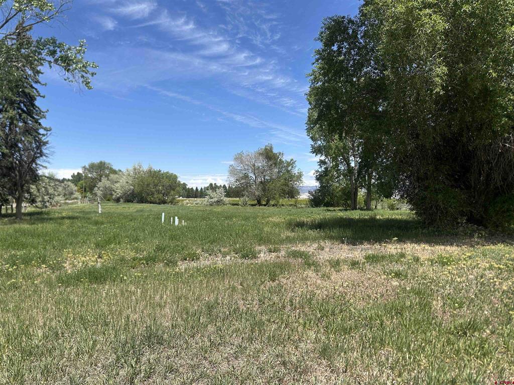 16674 6300 Road Property Photo 26