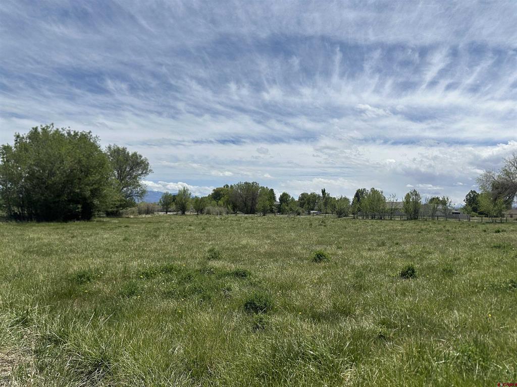 16674 6300 Road Property Photo 28