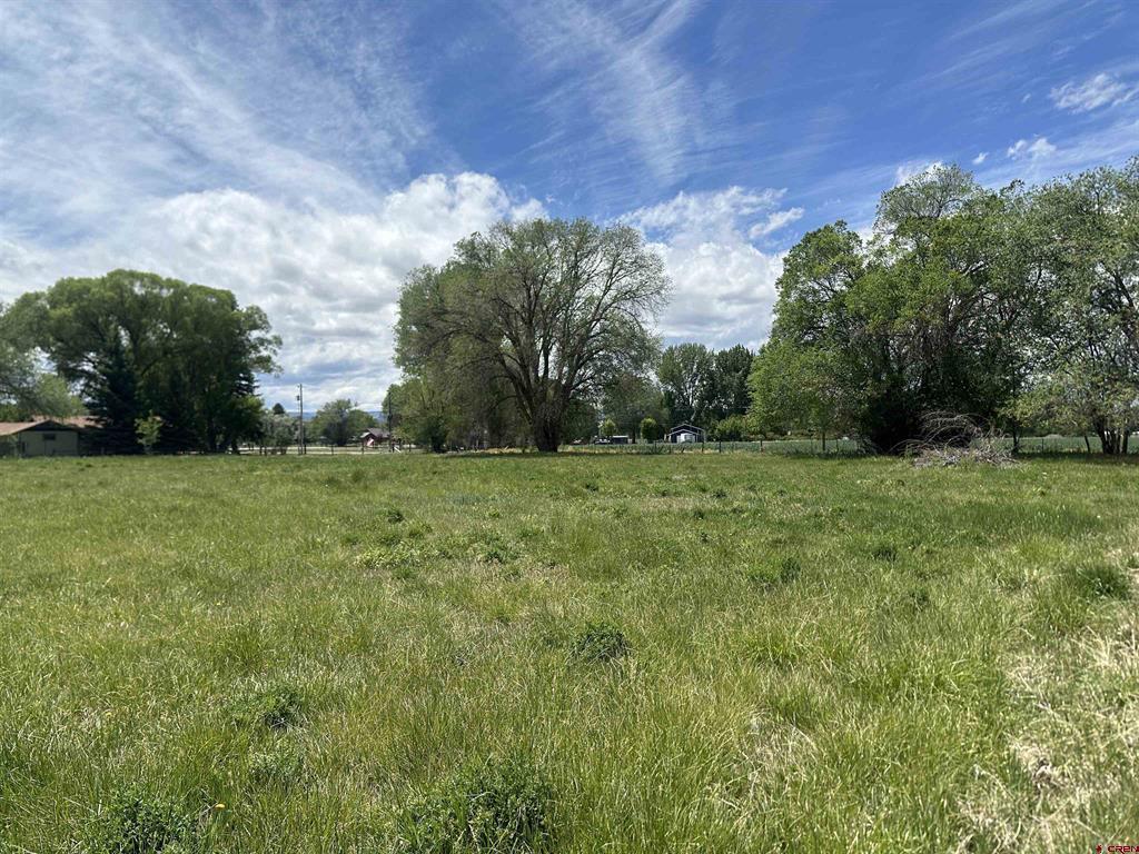 16674 6300 Road Property Photo 29