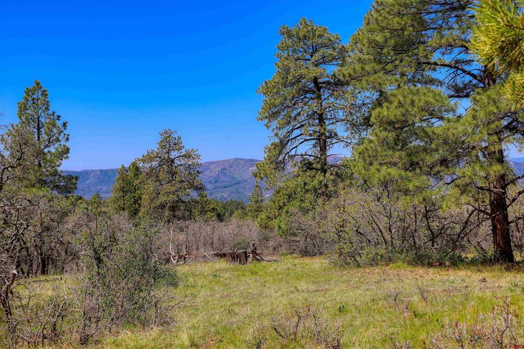 3367 Ranchland Drive Property Photo 1