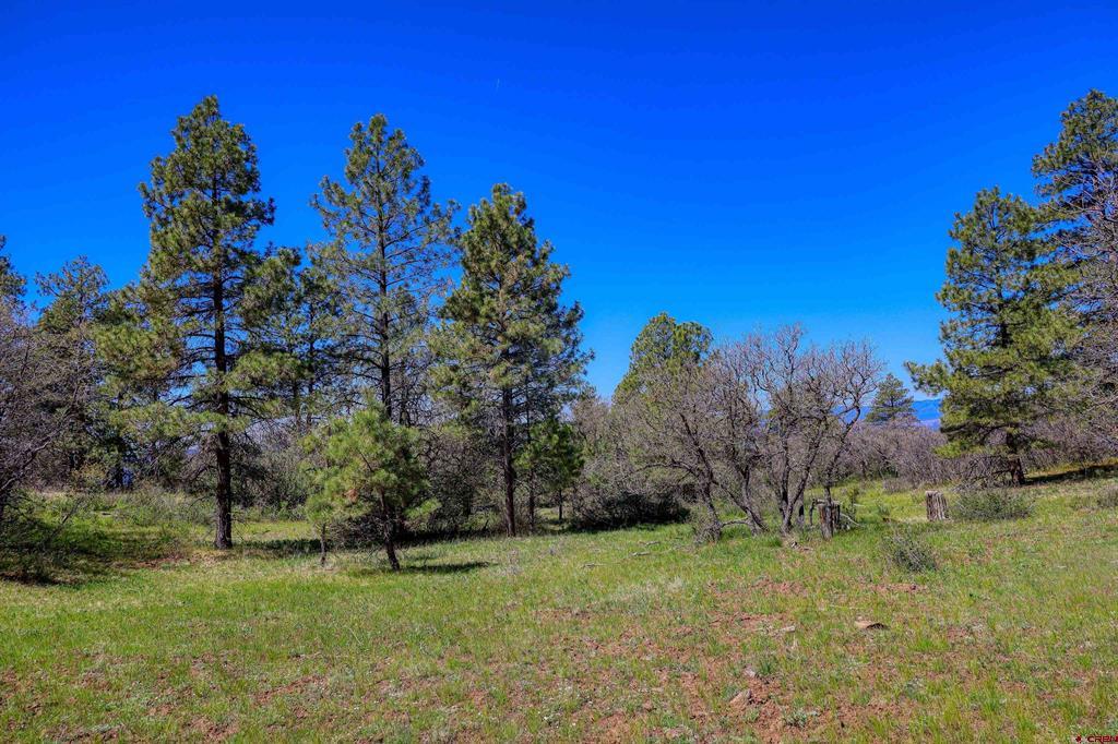 3367 Ranchland Drive Property Photo 3