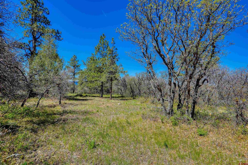 3367 Ranchland Drive Property Photo 4