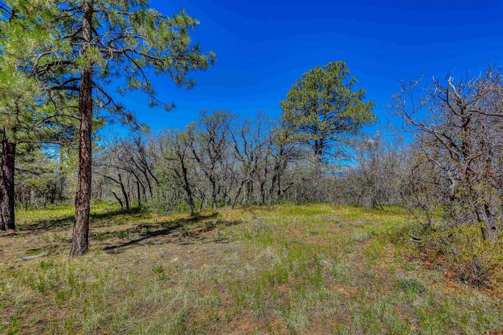 3367 Ranchland Drive Property Photo 5