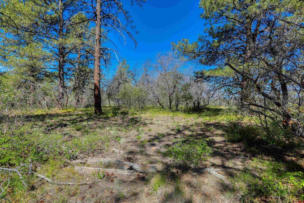 3367 Ranchland Drive Property Photo 6