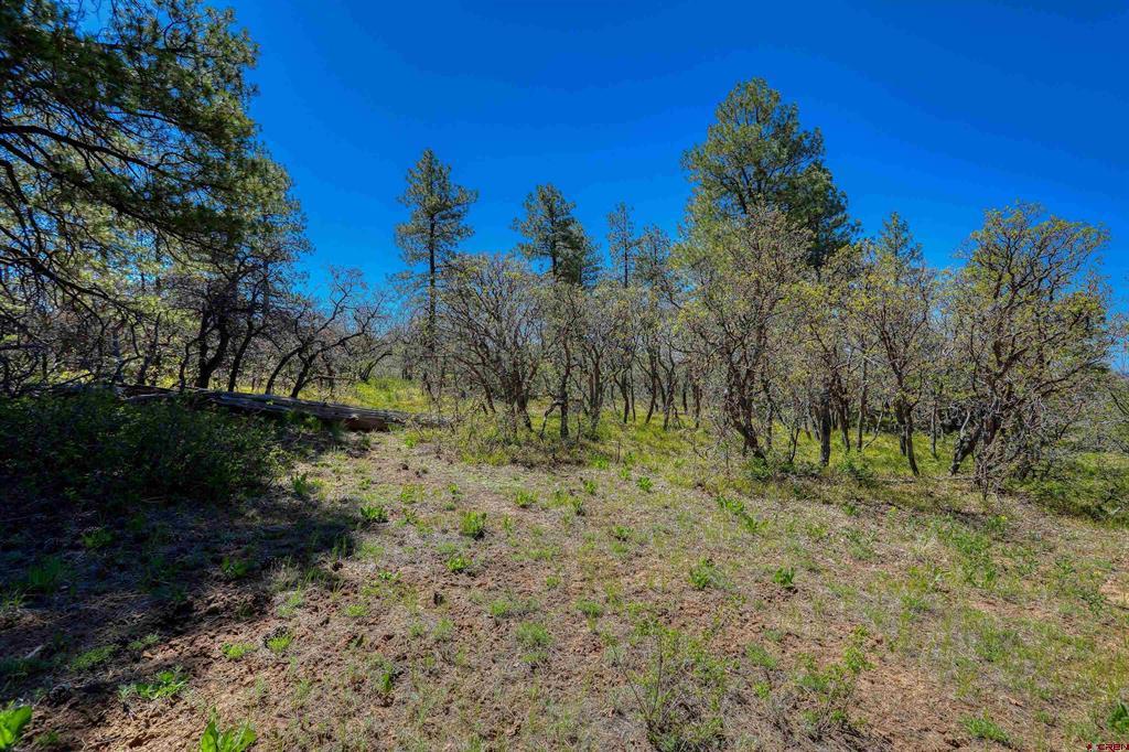 3367 Ranchland Drive Property Photo 8