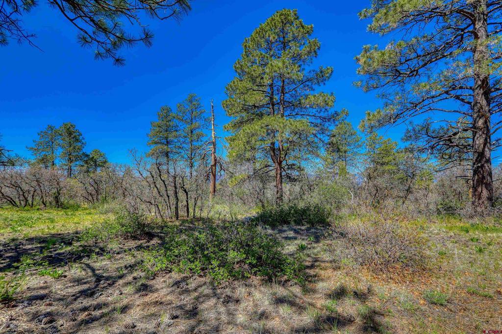 3367 Ranchland Drive Property Photo 9