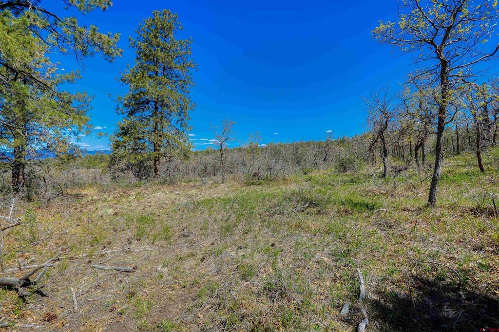 3367 Ranchland Drive Property Photo 10