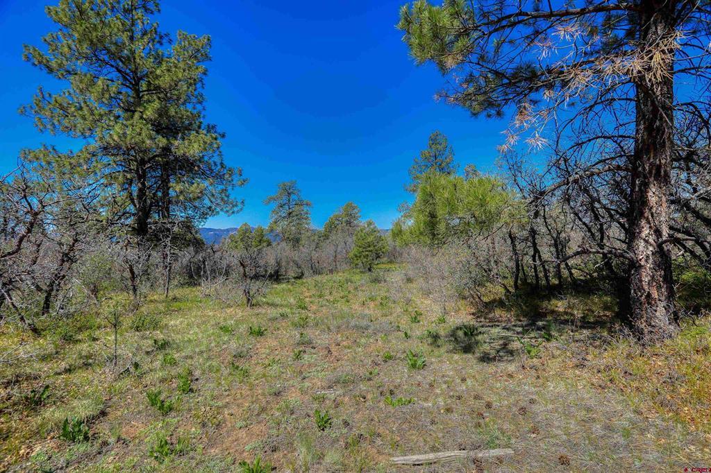 3367 Ranchland Drive Property Photo 11
