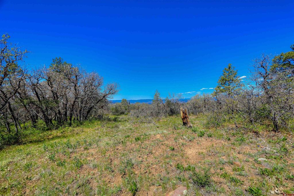 3367 Ranchland Drive Property Photo 13