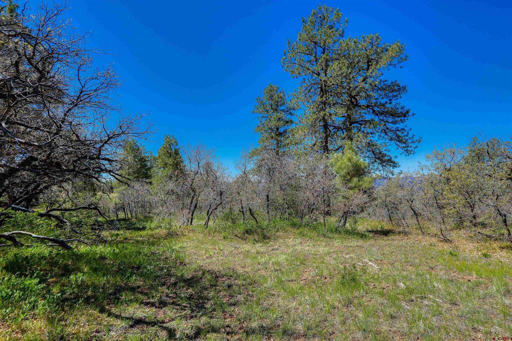 3367 Ranchland Drive Property Photo 14