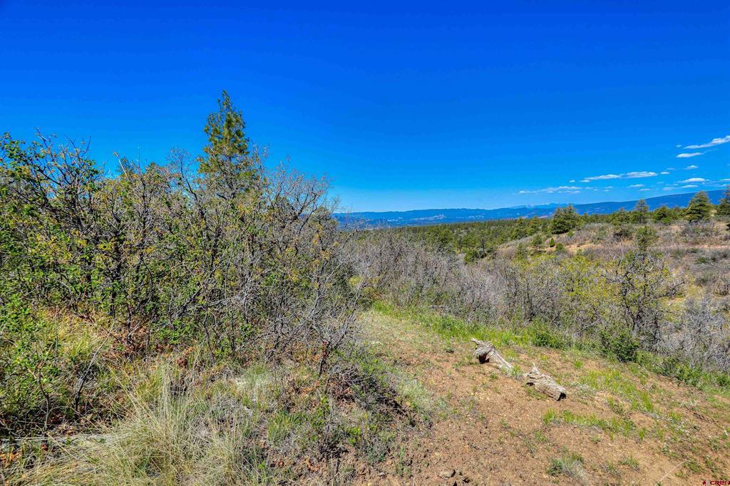3367 Ranchland Drive Property Photo 15
