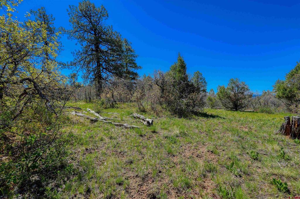 3367 Ranchland Drive Property Photo 16