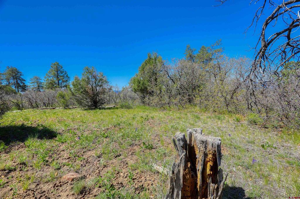 3367 Ranchland Drive Property Photo 17