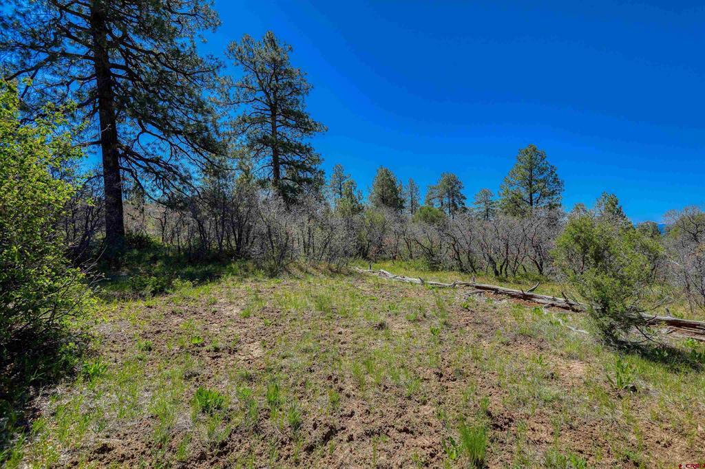 3367 Ranchland Drive Property Photo 18