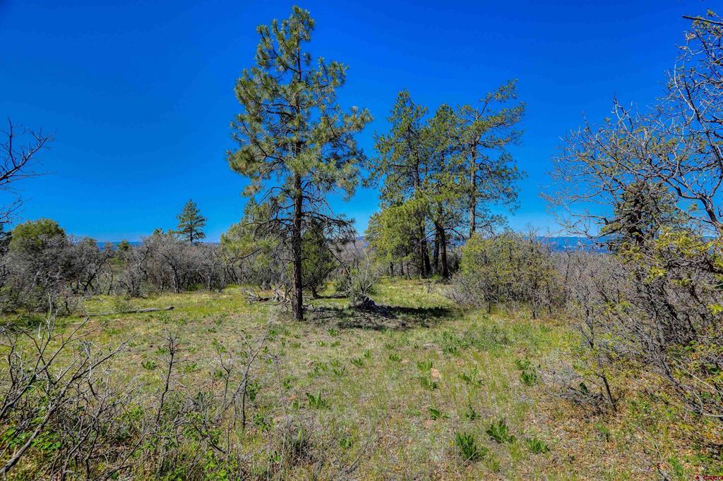 3367 Ranchland Drive Property Photo 19