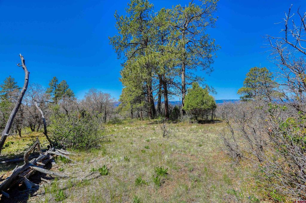 3367 Ranchland Drive Property Photo 20