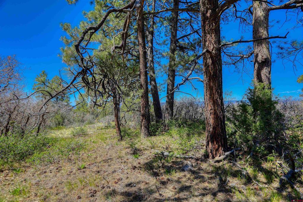 3367 Ranchland Drive Property Photo 21